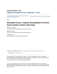 &lt;I&gt;Microphallus Fonti&lt;/I&gt; Sp. N. (Digenea: Microphallidae) from The