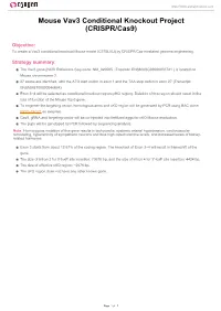 Mouse Vav3 Conditional Knockout Project (CRISPR/Cas9)