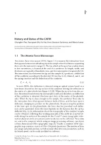 1 History and Status of the CAFM
