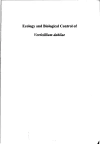 Ecology and Biological Control of Verticillium Dahliae by L