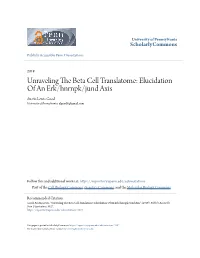 Unraveling the Beta Cell Translatome: Elucidation of an Erk/Hnrnpk/Jund Axis Austin Lewis Good University of Pennsylvania, Algood6@Gmail.Com