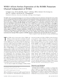 WNK1 Affects Surface Expression of the ROMK Potassium Channel Independent of WNK4