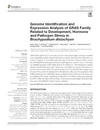 Genome Identification and Expression Analysis of GRAS Family Related