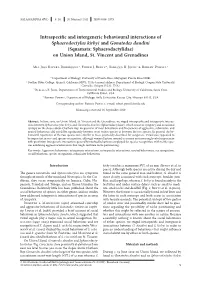 Intraspecific and Intergeneric Behavioural Interactions of Sphaerodactylus Kirbyi and Gonatodes Daudini (Squamata: Sphaerodactylidae) on Union Island, St