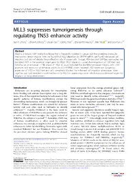 MLL3 Suppresses Tumorigenesis Through Regulating TNS3 Enhancer Activity