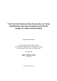 Novel Steroid Reductase from Escherichia Coli: from Identification and Characterization Towards the Design of a Whole-Cell Biocatalyst