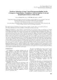 Coleoptera: Staphylinidae: Pselaphinae) with Descriptions of Relevant Morphological Features of Their Heads