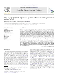 Deep Phylogeographic Divergence and Cytonuclear Discordance in the Grasshopper Oedaleus Decorus