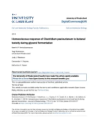 Homeoviscous Response of Clostridium Pasteurianum to Butanol Toxicity During Glycerol Fermentation