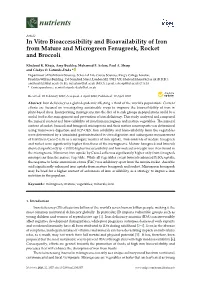 In Vitro Bioaccessibility and Bioavailability of Iron from Mature and Microgreen Fenugreek, Rocket and Broccoli