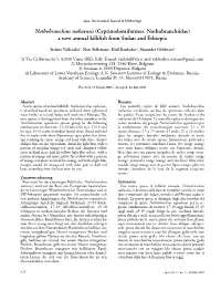 Nothobranchius Nubaensis (Cyprinodontiformes: Nothobranchiidae) a New Annual Killifish from Sudan and Ethiopia