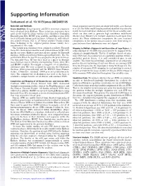 Supporting Information