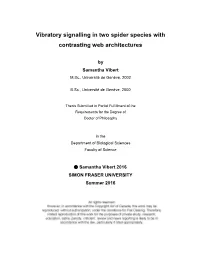 Vibratory Signalling in Two Spider Species with Contrasting Web Architectures