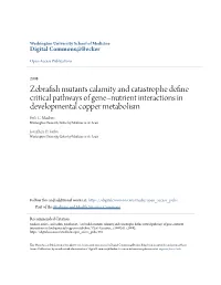 Zebrafish Mutants Calamity and Catastrophe Define Critical Pathways of Gene–Nutrient Interactions in Developmental Copper Metabolism Erik C