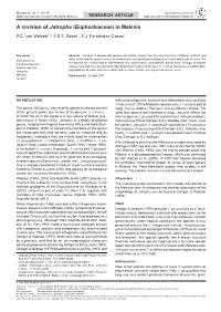 A Revision of Jatropha (Euphorbiaceae) in Malesia