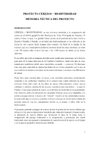 Memoria Tineo.Pdf