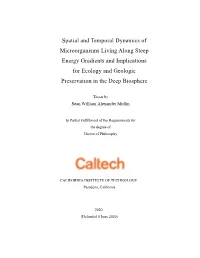 Spatial and Temporal Dynamics of Microorganisms Living Along Steep Energy Gradients and Implications for Ecology and Geologic Preservation in the Deep Biosphere