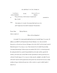 An Abstract of the Thesis Of
