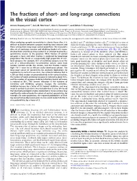 And Long-Range Connections in the Visual Cortex