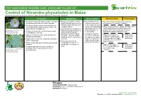 Control of Nicandra Physalodes in Maize