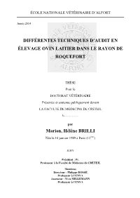Différentes Techniques D'audit En Élevage Ovin