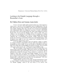 Looking at Punjabi Language Through a Researcher's Lens