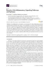 Reactive Glia Inflammatory Signaling Pathways and Epilepsy