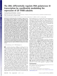 The Jnks Differentially Regulate RNA Polymerase III Transcription by Coordinately Modulating the Expression of All TFIIIB Subunits