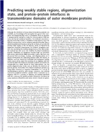 Predicting Weakly Stable Regions, Oligomerization State, and Protein–Protein Interfaces in Transmembrane Domains of Outer Membrane Proteins