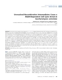 Unresolved Recombination Intermediates Cause a RAD9-Dependent Cell Cycle Arrest in Saccharomyces Cerevisiae