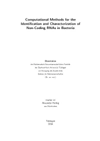 Computational Methods for the Identification and Characterization