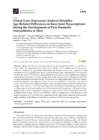 Global Gene Expression Analysis Identifies Age-Related Differences in Knee Joint Transcriptome During the Development of Post-Tr