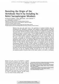 Revisiting the Origin of the Vertebrate Hox14 by Including Its Relict