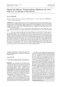 Similar but Different: Polyplacophoran (Mollusca) Tail Valve – What Is It? an Attempt to Find Answers