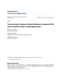 Trees As Islands: Canopy Ant Species Richness Increases with the Size of Liana-Free Trees in a Neotropical Forest