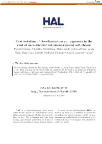 First Isolation of Brevibacterium Sp. Pigments in the Rind of an Industrial