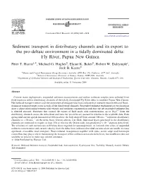 Sediment Transport in Distributary Channels and Its Export to the Pro-Deltaic Environment in a Tidally Dominated Delta: Fly River, Papua New Guinea
