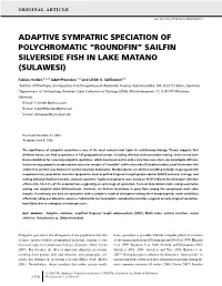 Adaptive Sympatric Speciation of Polychromatic “Roundfin” Sailfin Silverside Fish in Lake Matano (Sulawesi)