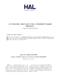 Occitanie, Deux En Une: Comment Faire Région?
