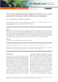 From a Coastal System in the Colombian Caribbean with Notes on Morphology