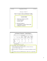 (NPP) A) Global Patterns B) Fate of NPP