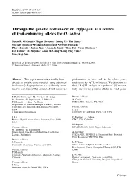 O. Rufipogon As a Source of Trait-Enhancing Alleles for O. Sativa