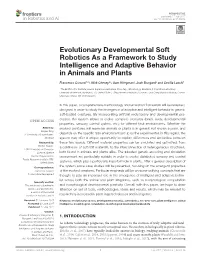 Evolutionary Developmental Soft Robotics As a Framework to Study Intelligence and Adaptive Behavior in Animals and Plants