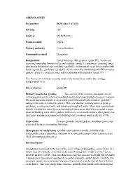 ABERGLASNEY Ref Number PGW (Dy) 5 (CAM) OS Map 159 Grid Ref
