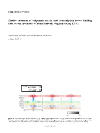 Distinct Patterns of Epigenetic Marks and Transcription Factor Binding Sites Across Promoters of Sense-Intronic Long Noncoding Rnas