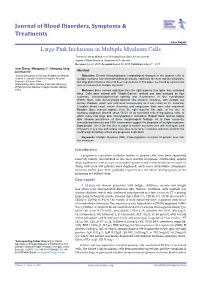 Large Pink Inclusions in Multiple Myeloma Cells