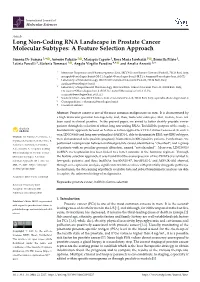 Long Non-Coding RNA Landscape in Prostate Cancer Molecular Subtypes: a Feature Selection Approach