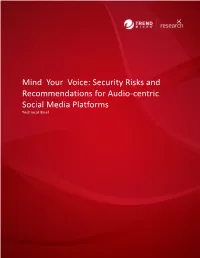 Security Risks and Recommendations for Audio-Centric