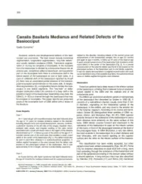 Canalis Basilaris Medianus and Related Defects of the Basiocciput