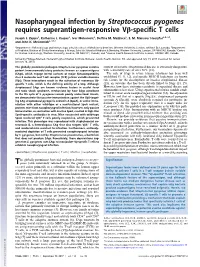 Nasopharyngeal Infection by Streptococcus Pyogenes Requires Superantigen-Responsive Vβ-Specific T Cells
